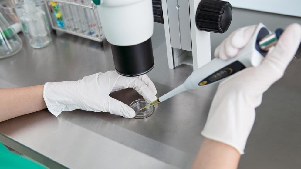 Principales preguntas sobre la fecundación in vitro