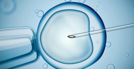 Centros fecundación in vitro en Valencia